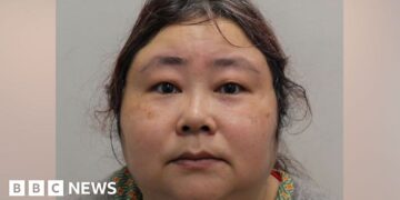 Chinese language girl convicted in UK after ‘world’s greatest’ bitcoin seizure