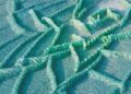 Google DeepMind’s newest analysis at ICML 2023