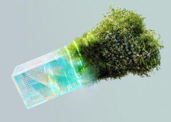 Utilizing AI to struggle local weather change