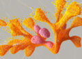 A listing of genetic mutations to assist pinpoint the reason for ailments