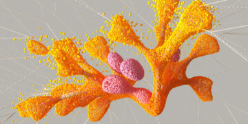 A listing of genetic mutations to assist pinpoint the reason for ailments