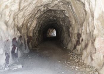 Velociraptor incident response software abused for distant entry – Sophos Information