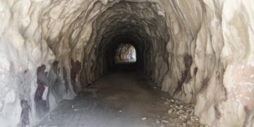 Velociraptor incident response software abused for distant entry – Sophos Information