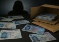 Chinese language Community Promoting Hundreds of Faux US and Canadian IDs