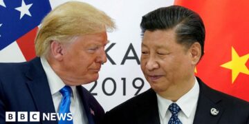 Trump and Xi focus on way forward for TikTok in US