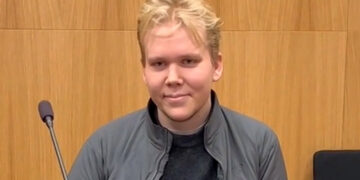 Finnish Vastaamo Hacker Freed Whereas Interesting Conviction