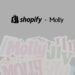 Design Has By no means Been Extra Vital: Inside Shopify’s Acquisition of Molly