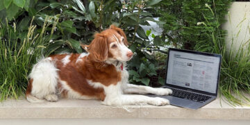 Explaining, at some size, Techmeme’s 20 years of consistency