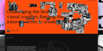 The Making of a Private Undertaking Platform: A Portfolio that Grew out of Course of and Play