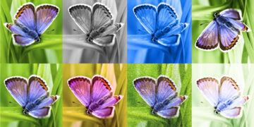 Figuring out AI-generated photos with SynthID