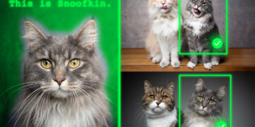 Methodology teaches generative AI fashions to find personalised objects | MIT Information