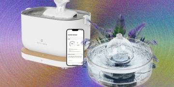 9 Greatest Cat Water Fountains, WIRED Examined and Reviewed (2025)
