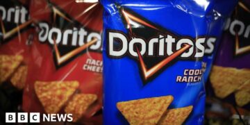 Armed police handcuff teen after AI errors crisp packet for gun in US
