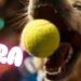 How OpenAI’s Sora 2 Is Remodeling Toy Design into Shifting Goals