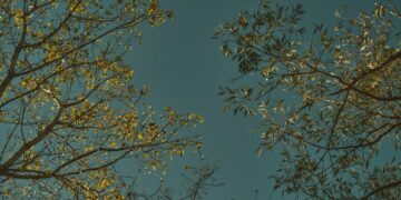 From Sentiment to Technique: Turning Stakeholder Suggestions into Measurable Affect