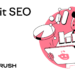 5-Step Information to Search Engine & AI Visibility