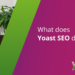 What does Yoast search engine optimization do? • Yoast