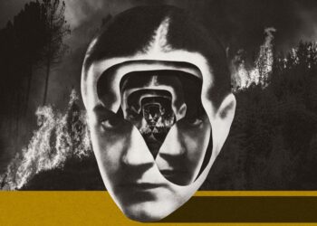 The Obtain: Learn how to survive a conspiracy idea, and moldy cities