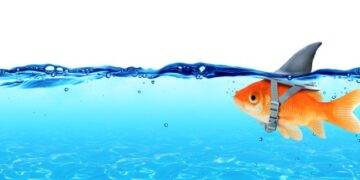 Phundamental or pholly? – Sophos Information