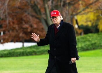 Trump Is Boosting MAGA X Accounts Working Abroad