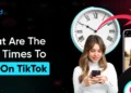 What Are The Finest Occasions To Put up On TikTok?