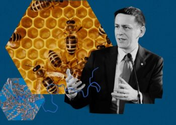 The Obtain: the way forward for AlphaFold, and chatbot privateness considerations