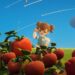 Petit Planet is a playlist of cozy gaming’s best hits