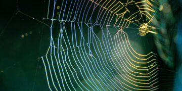 Scattered Lapsus$ Hunters Tied to Concentrating on of Zendesk Customers