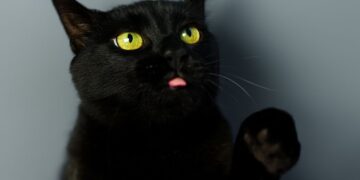 2 Cyber Execs Admit to Being BlackCat Ransomware Associates