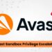 Avast Antivirus Sandbox Vulnerabilities Enable Privilege Escalation