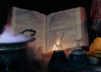 GOLD SALEM tradecraft for deploying Warlock ransomware – Sophos Information