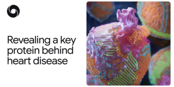 AlphaFold Reveals a Key Protein Behind Coronary heart Illness