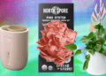 The 17 Finest Presents for Plant Lovers We’d Purchase Ourselves (2025)