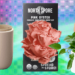 The 17 Finest Presents for Plant Lovers We’d Purchase Ourselves (2025)