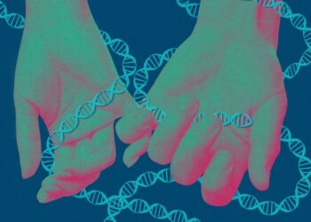 The Obtain: Expanded provider screening, and the way Southeast Asia plans to get to area