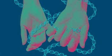 The Obtain: Expanded provider screening, and the way Southeast Asia plans to get to area