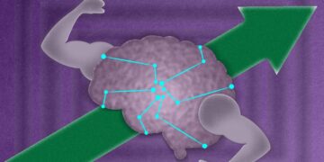 Guided studying lets “untrainable” neural networks notice their potential | MIT Information