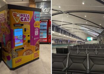 Pizza Cat Merchandising Machine Overview: Scorching, Bland, And Handy