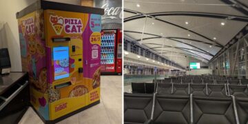 Pizza Cat Merchandising Machine Overview: Scorching, Bland, And Handy