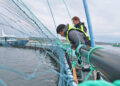 MIT Sea Grant college students discover the intersection of expertise and offshore aquaculture in Norway | MIT Information