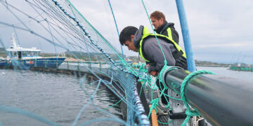 MIT Sea Grant college students discover the intersection of expertise and offshore aquaculture in Norway | MIT Information