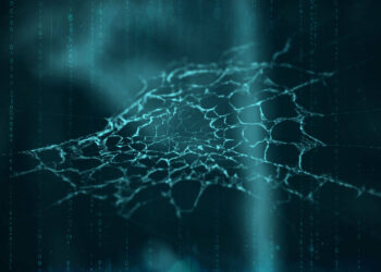 Your data is on the darkish net. What occurs subsequent?