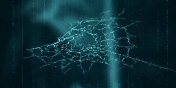 Your data is on the darkish net. What occurs subsequent?