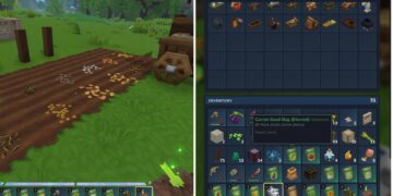 How you can Get and Use Everlasting Seeds in Hytale