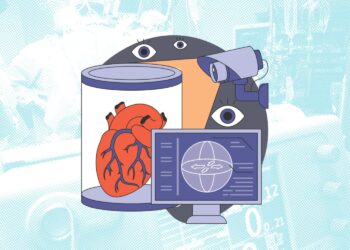 MIT scientists examine memorization danger within the age of medical AI | MIT Information