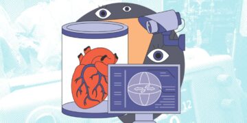 MIT scientists examine memorization danger within the age of medical AI | MIT Information