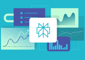 Perplexity AI Person and Income Statistics