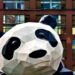Chinese language Mustang Panda Used Faux Diplomatic Briefings to Spy on Officers