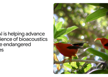 How AI helps advance the science of bioacoustics to avoid wasting endangered species — Google DeepMind