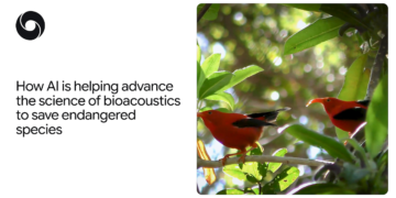 How AI helps advance the science of bioacoustics to avoid wasting endangered species — Google DeepMind